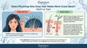 Grey Hair Make More Grow Back